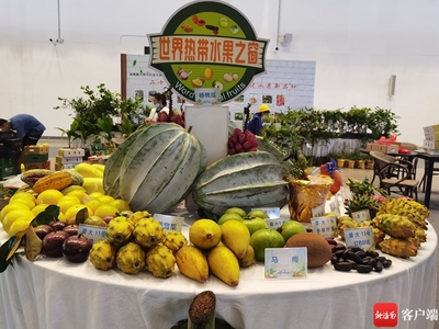 2025年2月，鷹米團(tuán)隊講解器如何讓世界熱帶水果之窗